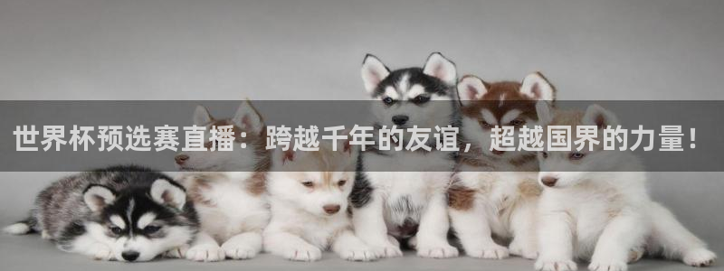 世界杯直播平台:世界杯预选赛直播:跨越千年的友谊,超越国界的力量!