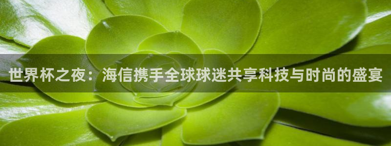 世界杯足球赛2026:世界杯之夜:海信携手全球球迷共享科技与时尚的盛宴