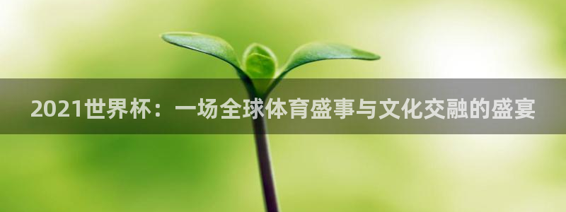 2026世界杯官网:2021世界杯:一场全球体育盛事与文化交融的盛宴
