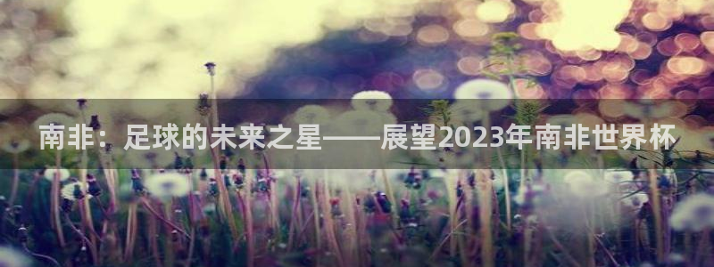世界杯2026赛制:南非:足球的未来之星——展望2023年南非世界杯