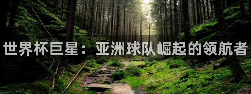 欧联杯直播:世界杯巨星:亚洲球队崛起的领航者