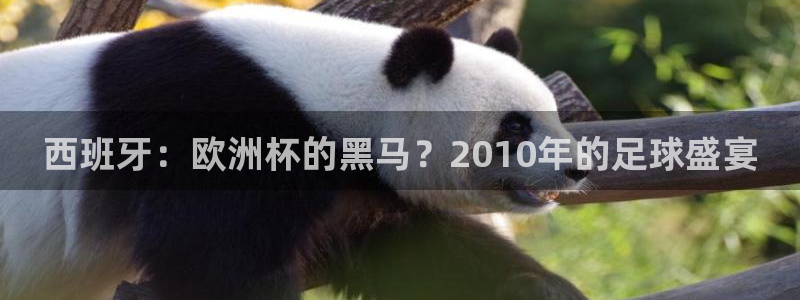 世界杯足球赛2026赛程时间:西班牙:欧洲杯的黑马?2010年的足球盛宴