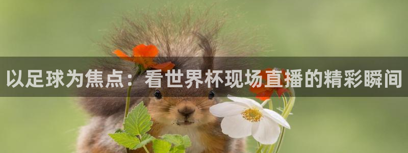 世界杯直播网:以足球为焦点:看世界杯现场直播的精彩瞬间