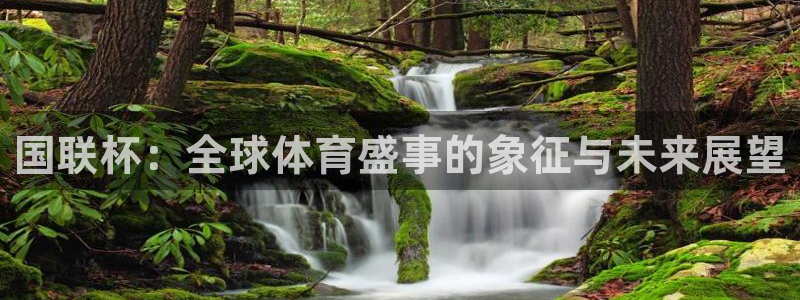 2026男足世界杯赛程:国联杯:全球体育盛事的象征与未来展望